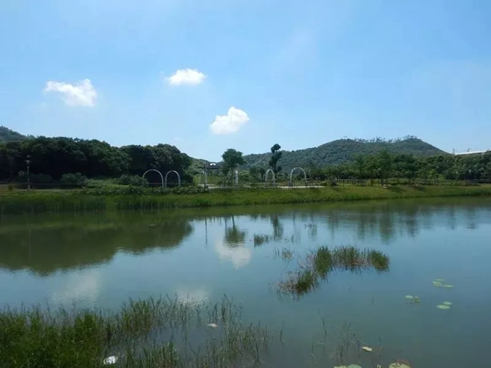 票:免费开放地 址:深圳市宝安区松岗街道北部罗田林场内,北边是东莞